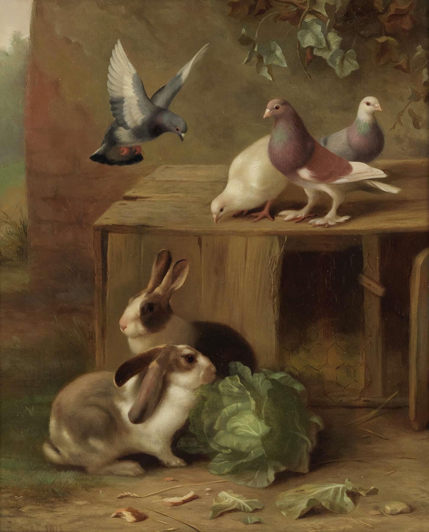 Edgar Hunt | Pigeon, Doves & Rabbits